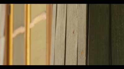 And if you build with wood, it's bound to be good. - The History of Home Narrated by Nick Offerman