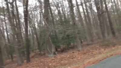 And, as you can see, - The Fear Footage