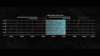 And so you can't put a causal
link between the low numbers - Envoy: Shark Cull