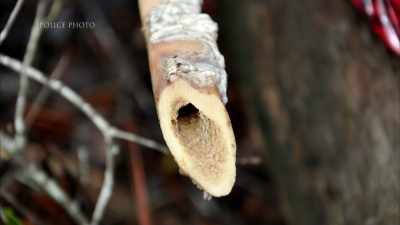 And when you cook human tissue,
any tissue, like meat, - Floribama Murders