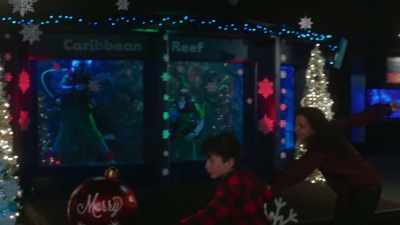 And if you have any
questions, you can find - Mystic Christmas