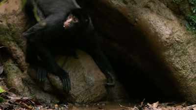 And if you have your head in a hole, - Our Planet