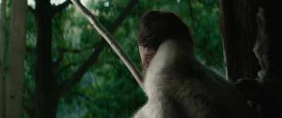 And you, my king, - Boudica