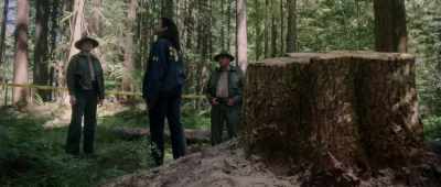 And, as you know, - Crawlspace