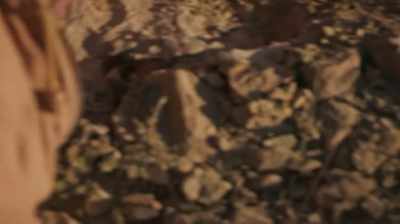 AND YOU KNOW WHAT
ELSE I NOTICED, - Dino Hunters