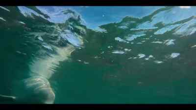 And, if you know where to look, - Our Oceans
