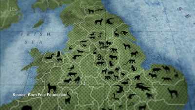 'And if you live in Nottinghamshire, - Britain's Tiger Kings - On the Trail with Ross Kemp