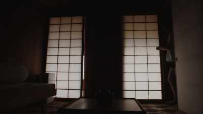 And so you open the outside
whether shutters, and then - The Cabin Chronicles