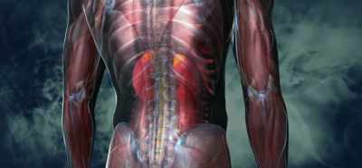 And so you see people whose
adrenal glands are not working, - Root Cause