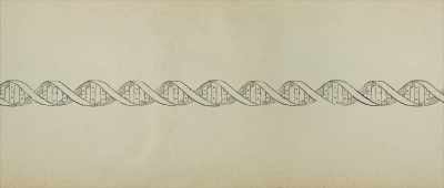 And if you want to continue with that, - Is Genesis History?