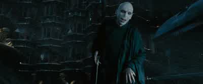 And you will lose everything. - Harry Potter and the Order of the Phoenix