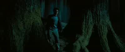 And you would do well, I feel, to return before this last chime. - Harry Potter and the Prisoner of Azkaban