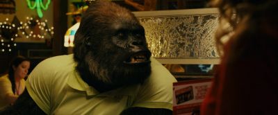 And for you - Zookeeper