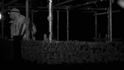 And you'll be sat down
against the wall, - Celebrity SAS: Who Dares Wins