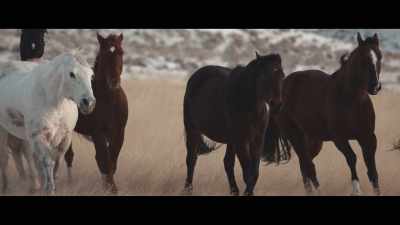 And when you've got
both eyes in sync, - My Heroes Were Cowboys
