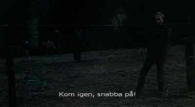 Andale, Andale! - Borderline