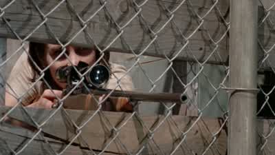 Andrea. - The Walking Dead