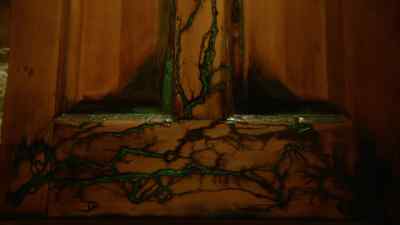 [Andrea] The fire may have
burned the branches, - A Carpenter Christmas Romance