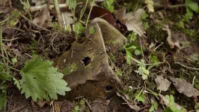 Andreas has uncovered a tank
barrier buried underground - Secret Nazi Ruins