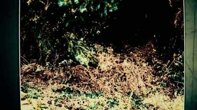 ANDREJS EGLITIS: The
bodies in the forest - World's Most Evil Killers