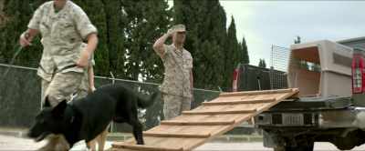 Andrew Dean was a good Marine, - Megan Leavey