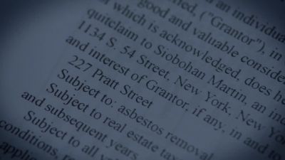 ANDREW: Siobhan? - Ringer