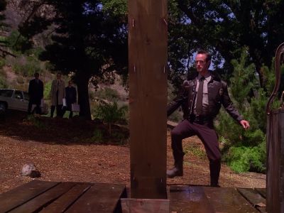 Andy, are you all right? - Twin Peaks