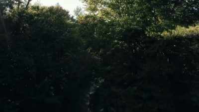Andy was molesting me
in the Freetown State Forest. - Fall River