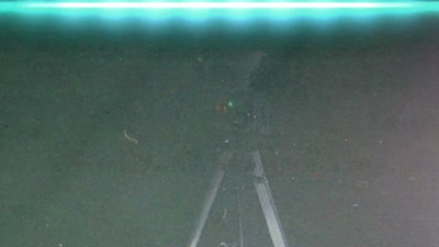 Andy and Paul are with
Chris Bledsoe at a neutral site - Beyond Skinwalker Ranch