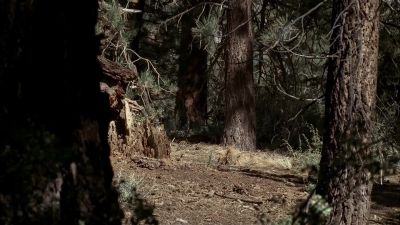 Andy: Strike me dead. - Deadwood