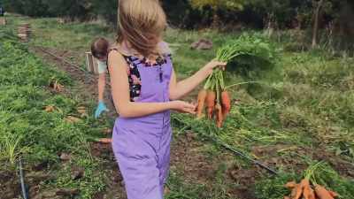 Andy: This farm
occupies a very special place - Through Our Eyes