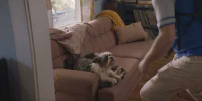 ANDY: Yeah.
‐ What the fuck is happening? - Shrill