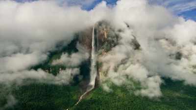 Angel Falls - almost a kilometre
from top to bottom. - Seven Worlds, One Planet