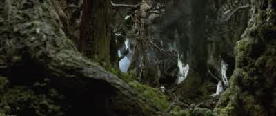 Anger festers in their hearts. - The Lord of the Rings: The Two Towers