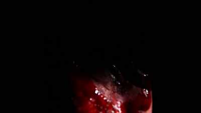 (anguished screaming
and squealing) - The Outwaters