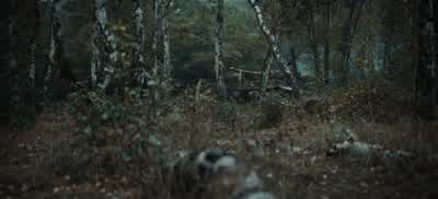 Anhalten! - The Tank
