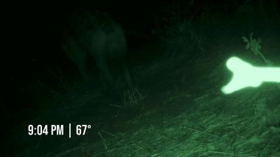         [animal growling] - Naked and Afraid