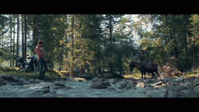 [animal grunting] - The Taming of the Shrewd
