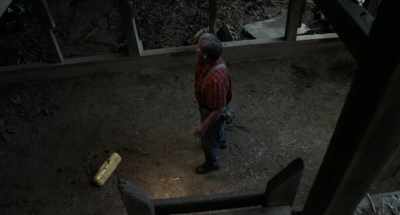 (animal hoots softly) - Dark Night of the Scarecrow 2