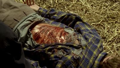 Animal predation. - CSI: Crime Scene Investigation