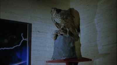 (Animal screeches) - Evil Ed