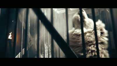 [animal snarls] - Colosseum