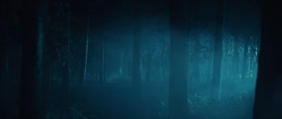 (animals calling) - Deep Woods