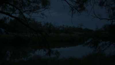 (animals chattering) - We Are Who We Are