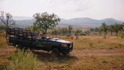 - (animals chittering)
- (camera shutter clicking) - A Safari Romance