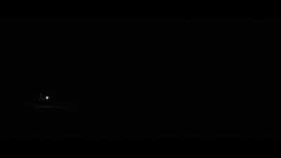 [animals howl] - Gold