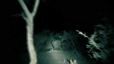[ ANIMALS LOWING ] - Expedition Mungo