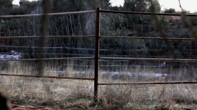 Animals, of course, - Beyond Skinwalker Ranch