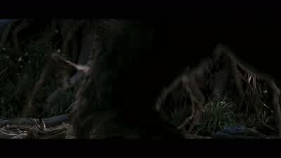 Ann, it's okay. - King Kong