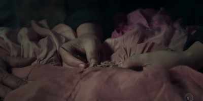 (ANNA GASPS) - The Luminaries